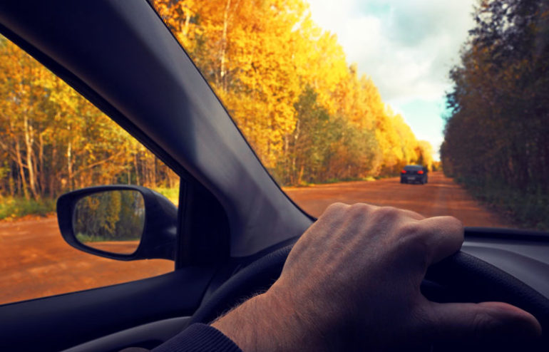 Avoid These Fall Driving Hazards to Drive Safely