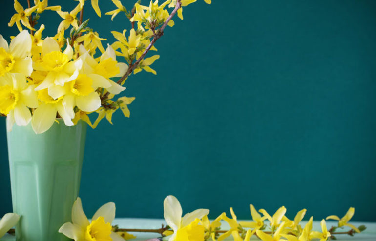 Springtime Home Maintenance Tips for Your Home